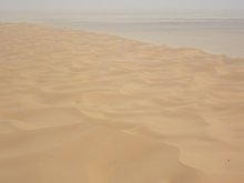 Dünenfeld in Nord-Mauritanien Foto: Kerstin Schepanski/TROPOS