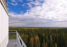 Hyytiälä Forestry Field Station in Finnland. Foto: Juho Aalto