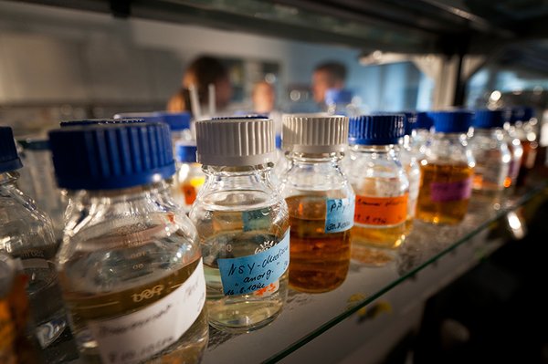 Chemikalien in der Umwelt ist das übergeordnete Thema, zu dem sich über 500 Chemiker aus Europa auf der ICCE 2015 in leipzig treffen. Foto: Andre Künzelmann/ UFZ